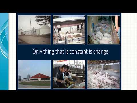 2022 KSU Swine Day: Dr. Steve Pollmann