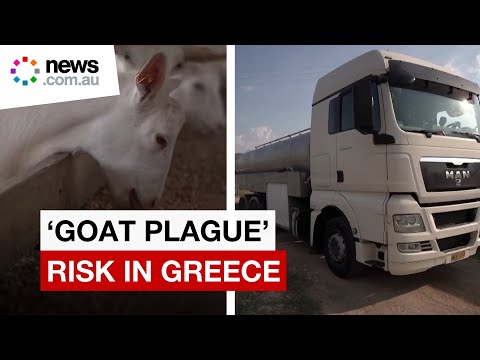 Greek farmers face goat plague after with floods