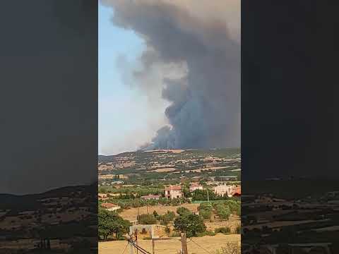 massive forest fire broke out in the Alexandroupoli, Greece (19.08.2023) #alexandroupoli #shorts