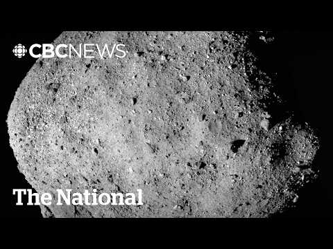 Asteroid Bennu samples contain &#039;building blocks&#039; of life on Earth