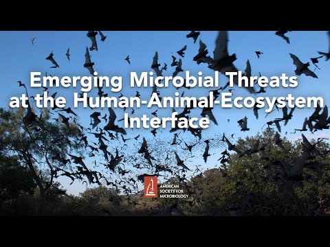 Emerging Microbial Threats at the Human-Animal-Ecosystem Interface by James Hughes, MD