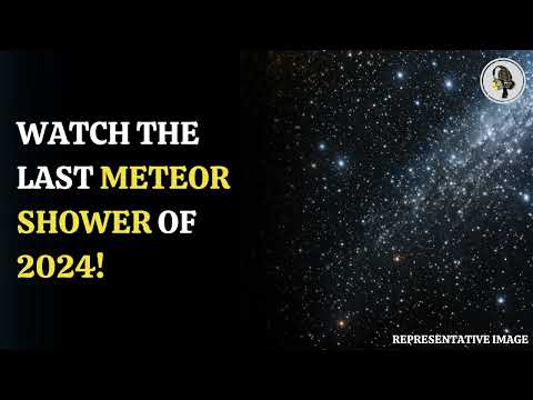 Watch The Ursid Meteor Shower: 2024&#039;s Final Celestial Show | WION Podcast