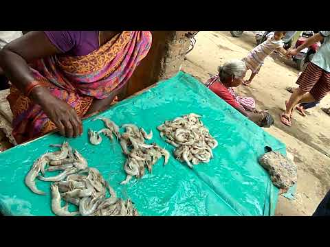 Fish Market Kelambakkam