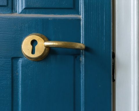 Why You Might Be Locked Out and How to Bounce Back Swiftly